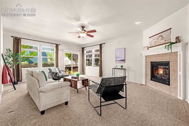 MLS Image for 198  Millstream  ,Colorado Springs, Colorado