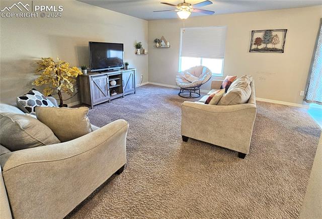 MLS Image for 6719  Skuna  ,Colorado Springs, Colorado