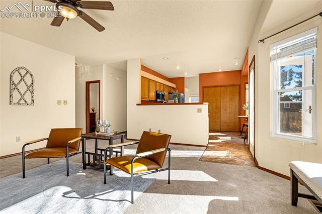 MLS Image for 6460  Whirlwind  ,Colorado Springs, Colorado