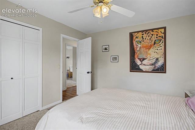 MLS Image for 8335  Ashford  ,Colorado Springs, Colorado