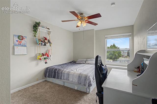MLS Image for 8335  Ashford  ,Colorado Springs, Colorado