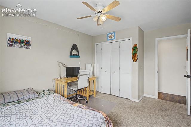 MLS Image for 8335  Ashford  ,Colorado Springs, Colorado