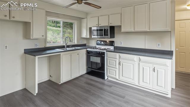 MLS Image for 900  Beaver Creek  ,Florissant, Colorado