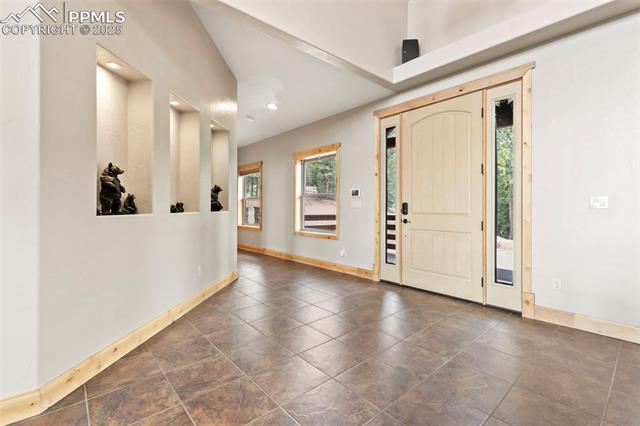 MLS Image for 252  Running Elk  ,Divide, Colorado