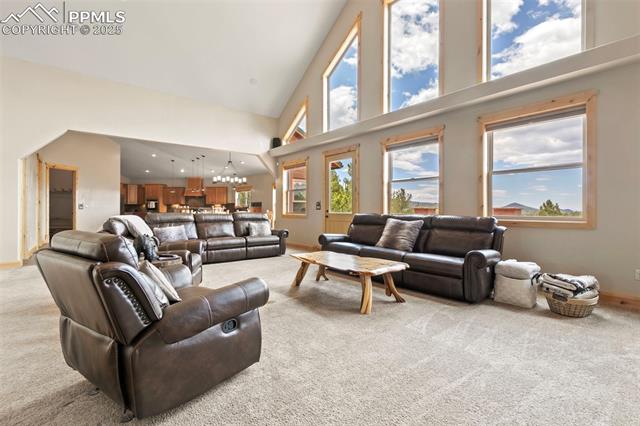 MLS Image for 252  Running Elk  ,Divide, Colorado