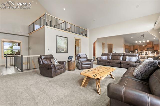 MLS Image for 252  Running Elk  ,Divide, Colorado