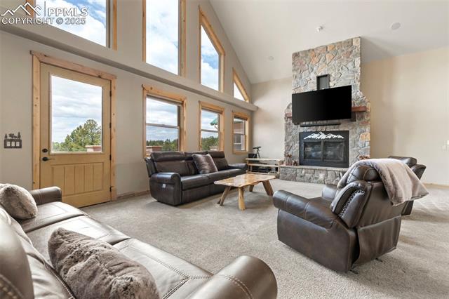 MLS Image for 252  Running Elk  ,Divide, Colorado