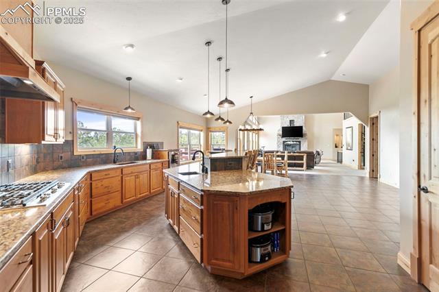 MLS Image for 252  Running Elk  ,Divide, Colorado