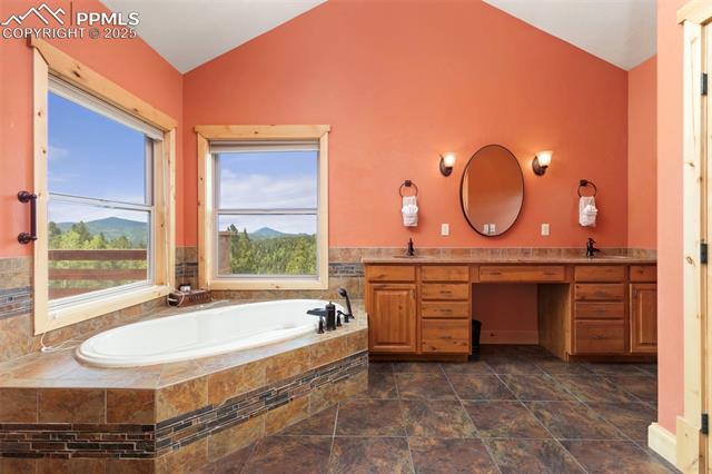 MLS Image for 252  Running Elk  ,Divide, Colorado