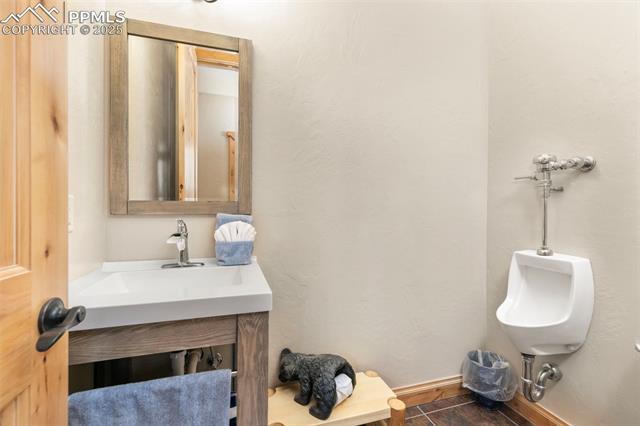 MLS Image for 252  Running Elk  ,Divide, Colorado