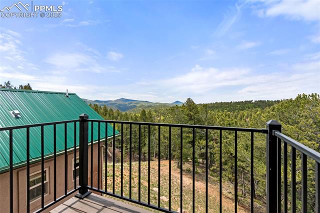 MLS Image for 252  Running Elk  ,Divide, Colorado