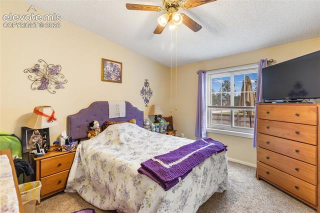 MLS Image for 427 S Woodland  ,Woodland Park, Colorado