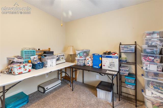 MLS Image for 427 S Woodland  ,Woodland Park, Colorado