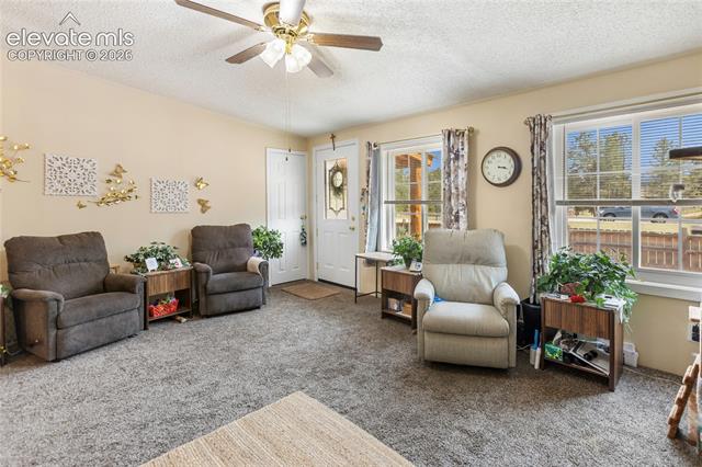 MLS Image for 427 S Woodland  ,Woodland Park, Colorado