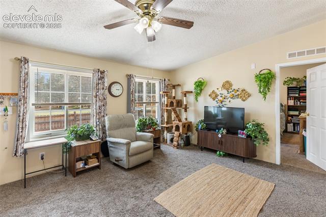 MLS Image for 427 S Woodland  ,Woodland Park, Colorado