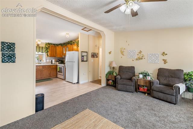 MLS Image for 427 S Woodland  ,Woodland Park, Colorado