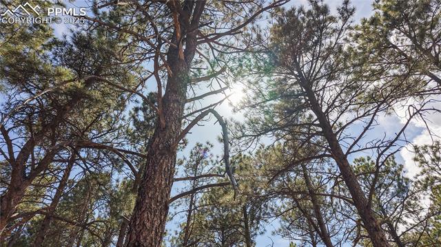MLS Image for 12655  Greenland Acres  ,Larkspur, Colorado