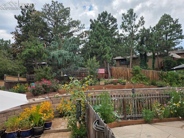 MLS Image for 6020  Castlewood  ,Colorado Springs, Colorado