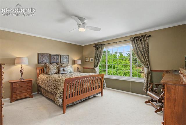 MLS Image for 4510  Eileen  ,Colorado Springs, Colorado