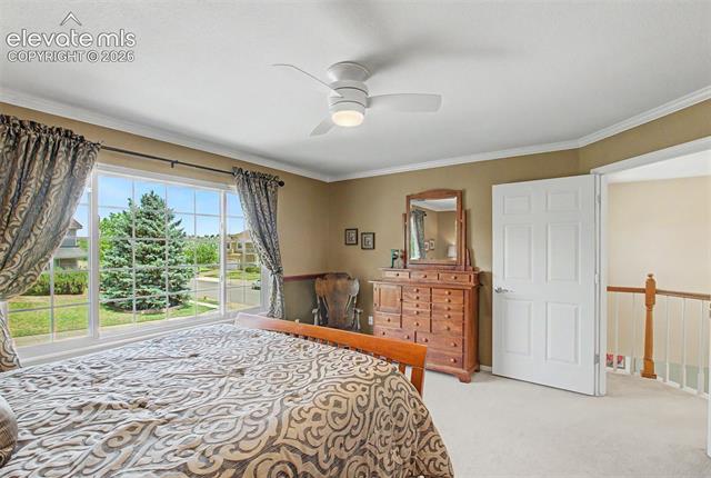 MLS Image for 4510  Eileen  ,Colorado Springs, Colorado