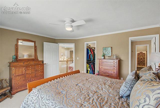 MLS Image for 4510  Eileen  ,Colorado Springs, Colorado
