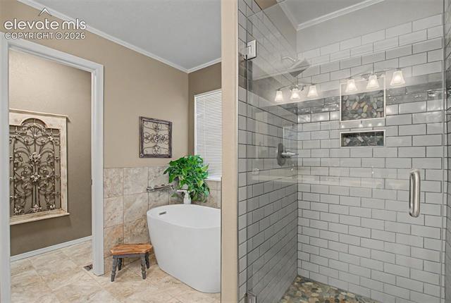 MLS Image for 4510  Eileen  ,Colorado Springs, Colorado