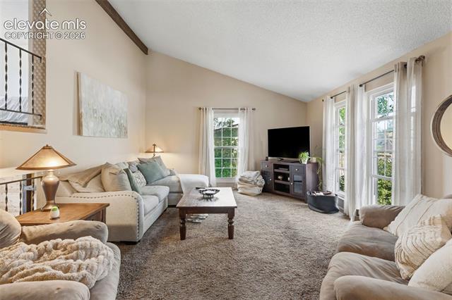 MLS Image for 2914  Villa Loma  ,Colorado Springs, Colorado