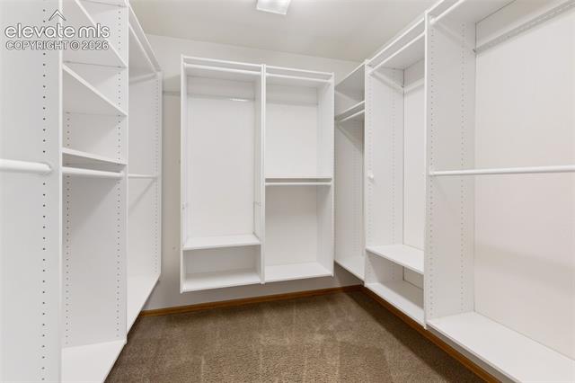MLS Image for 481  Black Bear  ,Woodland Park, Colorado