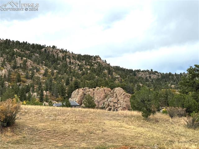 MLS Image for 1441  High Chateau  ,Florissant, Colorado