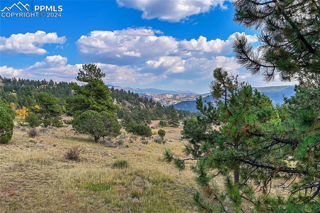 MLS Image for 1441  High Chateau  ,Florissant, Colorado