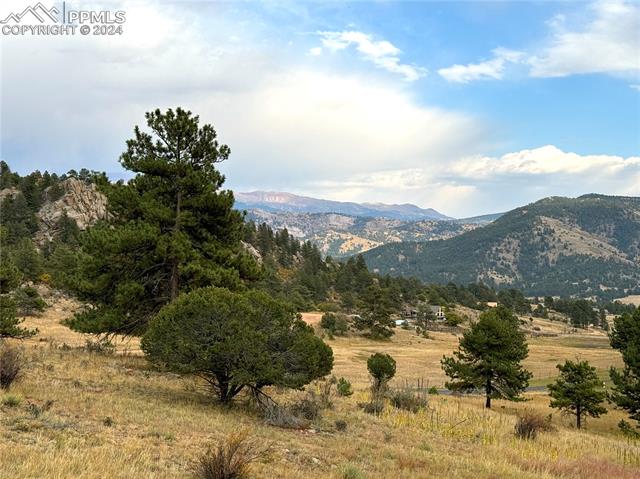 MLS Image for 1441  High Chateau  ,Florissant, Colorado