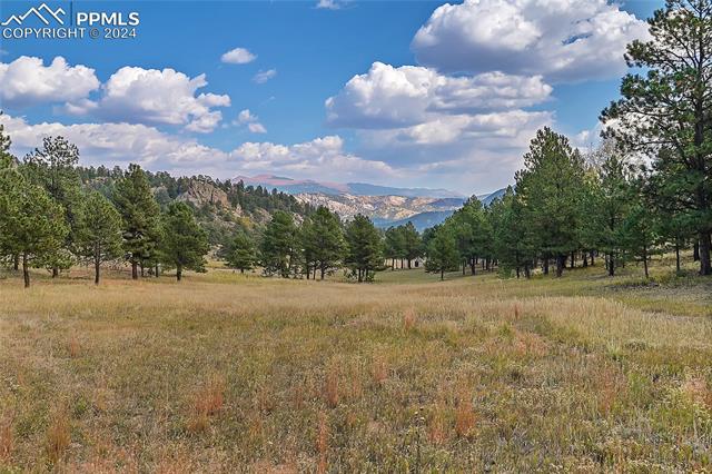 MLS Image for 1441  High Chateau  ,Florissant, Colorado