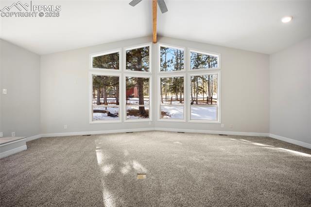 MLS Image for 33  Stillforest  ,Woodland Park, Colorado