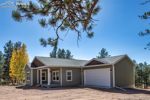 MLS Image for 207  Monument  ,Florissant, Colorado