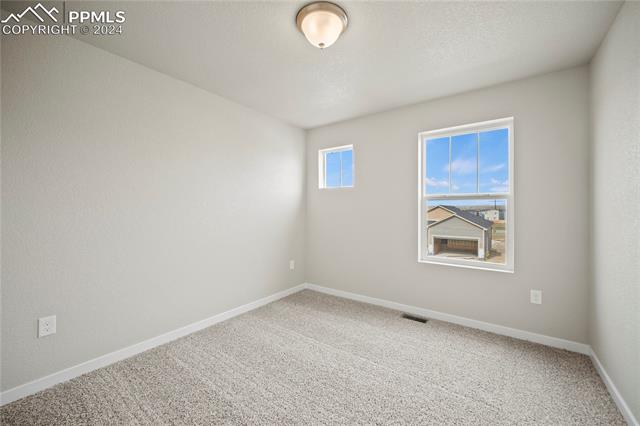 MLS Image for 11373  Rushpink  ,Colorado Springs, Colorado