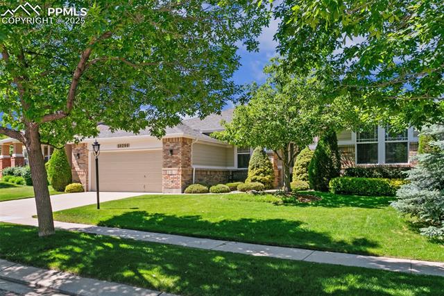 10290  Peach Blossom  , colorado springs  House Search MLS Picture