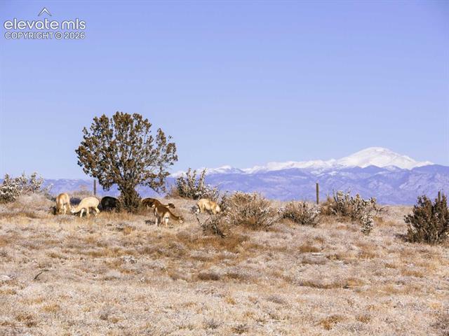 MLS Image for 7571  Vanessa  ,Pueblo, Colorado