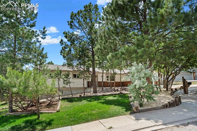 575  Big Sky  , colorado springs  House Search MLS Picture