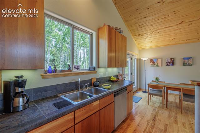 MLS Image for 392  Aspen Village  ,Divide, Colorado