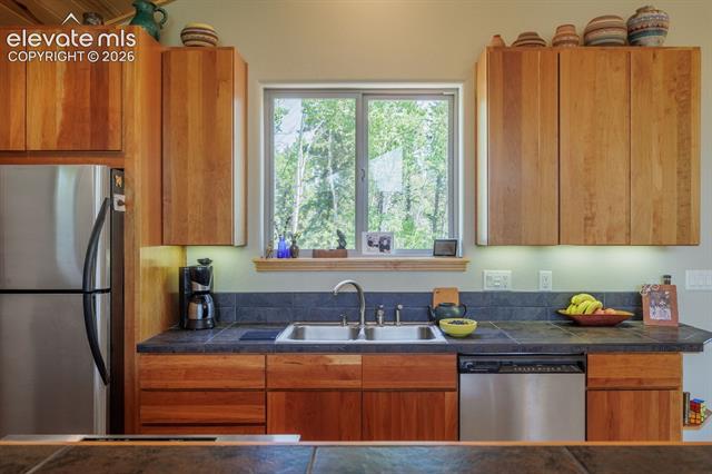 MLS Image for 392  Aspen Village  ,Divide, Colorado