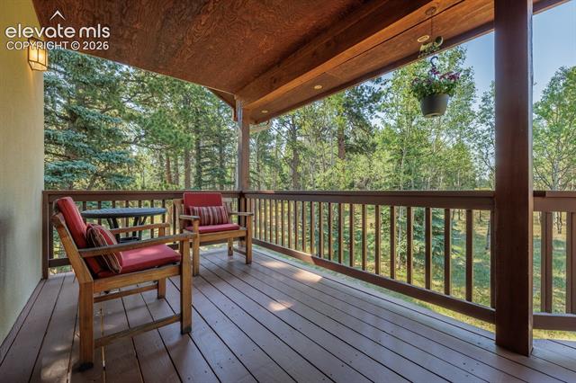 MLS Image for 392  Aspen Village  ,Divide, Colorado