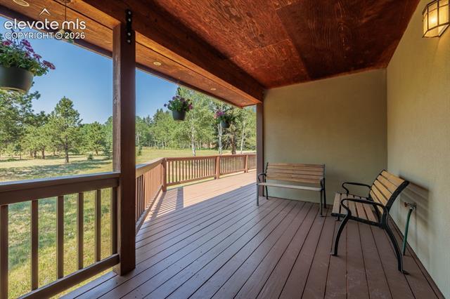 MLS Image for 392  Aspen Village  ,Divide, Colorado