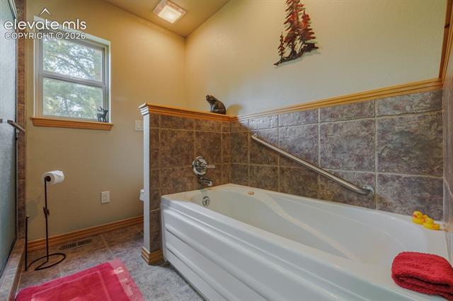 MLS Image for 392  Aspen Village  ,Divide, Colorado
