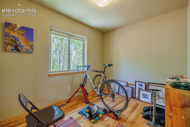 MLS Image for 392  Aspen Village  ,Divide, Colorado