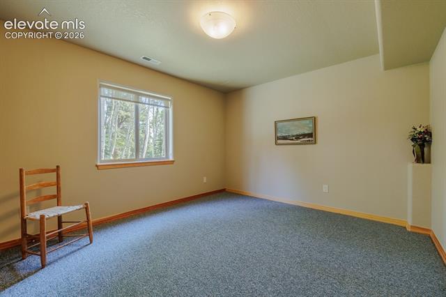 MLS Image for 392  Aspen Village  ,Divide, Colorado