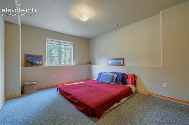 MLS Image for 392  Aspen Village  ,Divide, Colorado