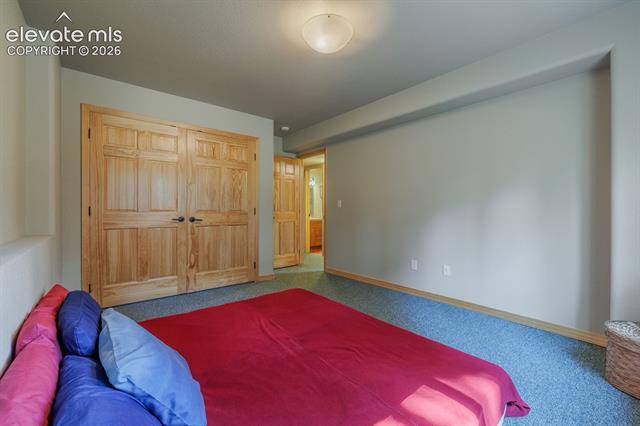 MLS Image for 392  Aspen Village  ,Divide, Colorado