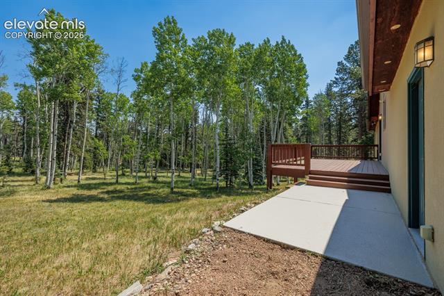 MLS Image for 392  Aspen Village  ,Divide, Colorado