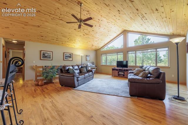 MLS Image for 392  Aspen Village  ,Divide, Colorado