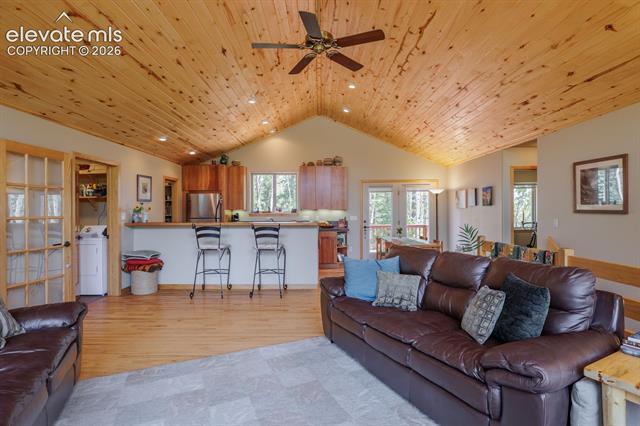 MLS Image for 392  Aspen Village  ,Divide, Colorado